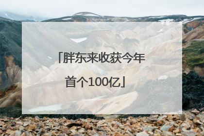胖东来收获今年首个100亿
