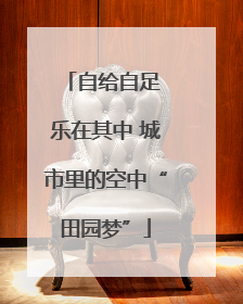 自给自足 乐在其中 城市里的空中“田园梦”