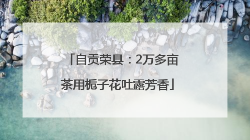自贡荣县：2万多亩茶用栀子花吐露芳香