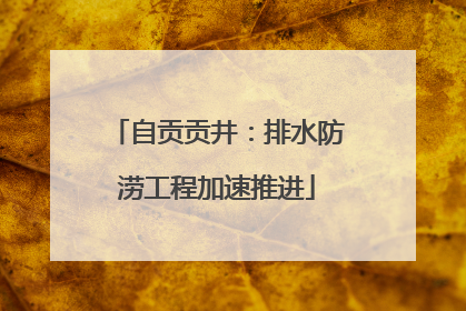 自贡贡井：排水防涝工程加速推进