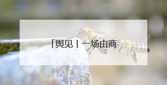 舆见丨一场由商标认知差引爆的国货信任危机
