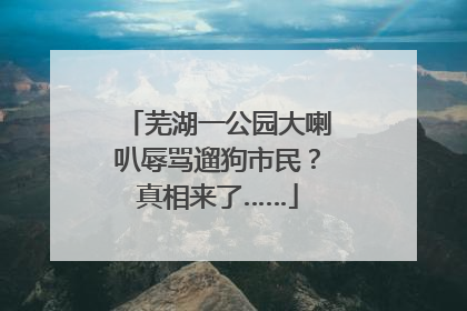 芜湖一公园大喇叭辱骂遛狗市民？真相来了……