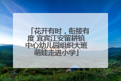 花开有时，衔接有度 宜宾江安留耕镇中心幼儿园组织大班萌娃走进小学