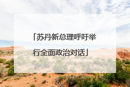 苏丹新总理呼吁举行全面政治对话