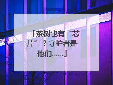 茶树也有“芯片”？守护者是他们……