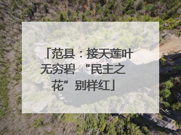 范县：接天莲叶无穷碧 “民主之花”别样红