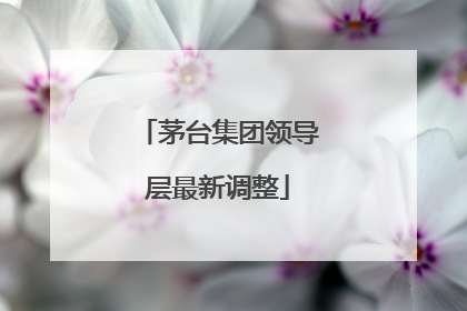 茅台集团领导层最新调整