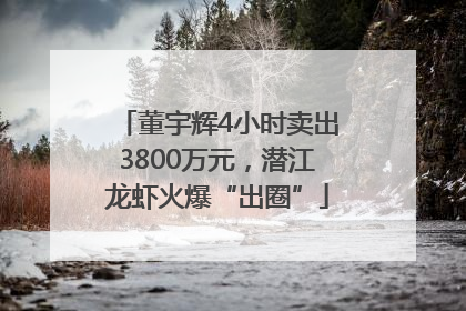 董宇辉4小时卖出3800万元，潜江龙虾火爆“出圈”