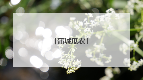 蒲城瓜农