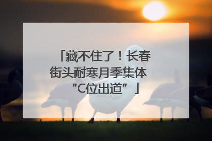 藏不住了！长春街头耐寒月季集体“C位出道”