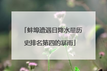 蚌埠遭遇日降水量历史排名第四的暴雨