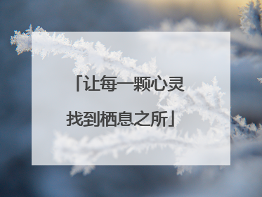 让每一颗心灵找到栖息之所