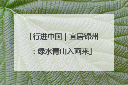 行进中国｜宜居锦州：绿水青山入画来