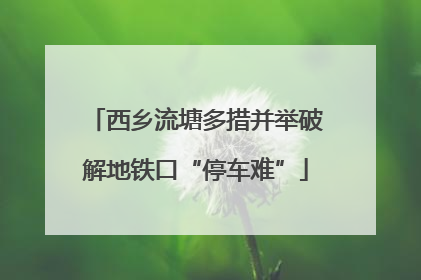 西乡流塘多措并举破解地铁口“停车难”