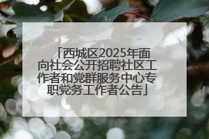 西城区2025年面向社会公开招聘社区工作者和党群服务中心专职党务工作者公告