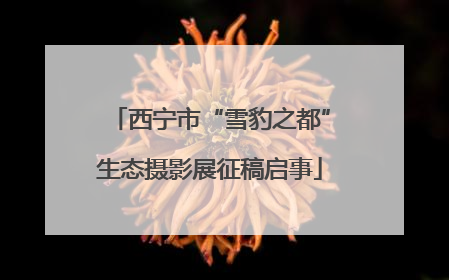 西宁市“雪豹之都”生态摄影展征稿启事