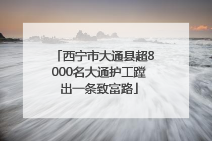 西宁市大通县超8000名大通护工蹚出一条致富路
