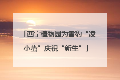 西宁植物园为雪豹“凌小蛰”庆祝“新生”