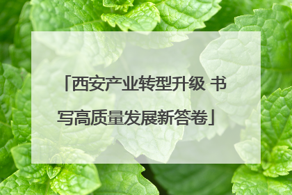 西安产业转型升级 书写高质量发展新答卷