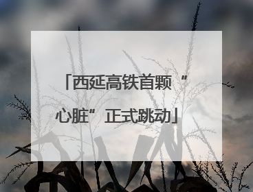 西延高铁首颗“心脏”正式跳动