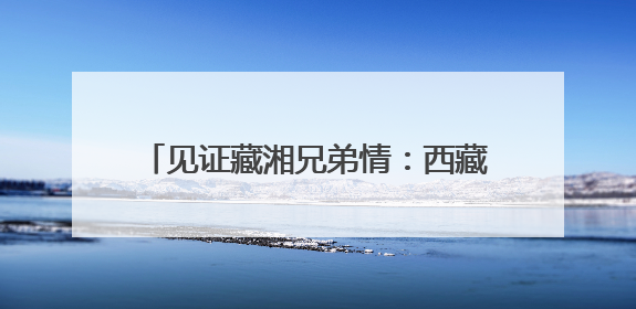 见证藏湘兄弟情：西藏山南特色产品亮相第四届中国-非洲经贸博览会