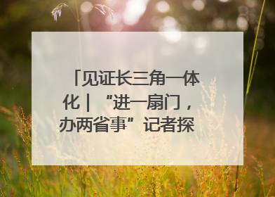 见证长三角一体化｜“进一扇门，办两省事”记者探访苏皖“两省一街”警务室
