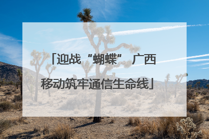 迎战“蝴蝶” 广西移动筑牢通信生命线