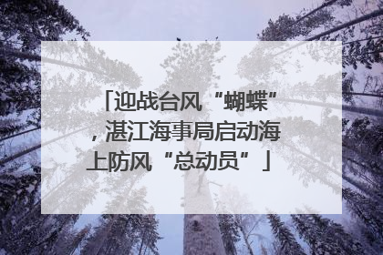 迎战台风“蝴蝶”，湛江海事局启动海上防风“总动员”