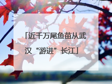 近千万尾鱼苗从武汉“游进”长江