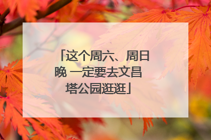 这个周六、周日晚 一定要去文昌塔公园逛逛