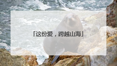 这份爱，跨越山海