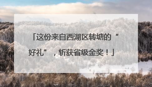 这份来自西湖区转塘的“好礼”，斩获省级金奖！