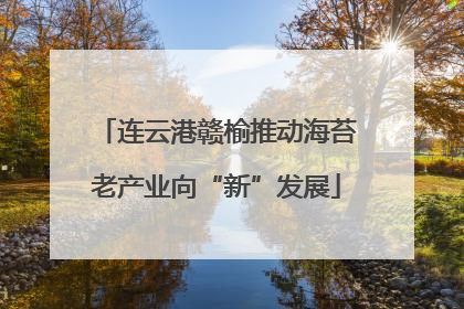连云港赣榆推动海苔老产业向“新”发展