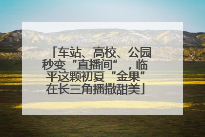 车站、高校、公园秒变“直播间”，临平这颗初夏“金果”在长三角播撒甜美
