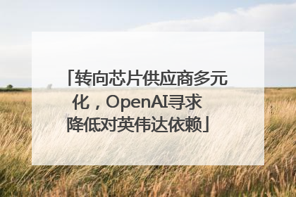 转向芯片供应商多元化，OpenAI寻求降低对英伟达依赖