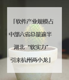 软件产业规模占中部六省总量逾半 湖北“软实力”引来杭州两小龙