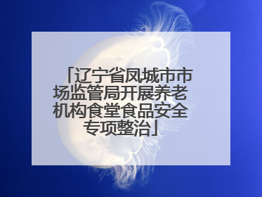 辽宁省凤城市市场监管局开展养老机构食堂食品安全专项整治