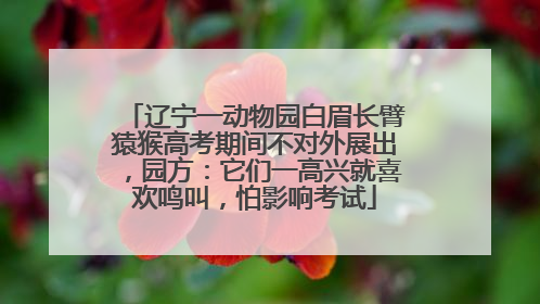 辽宁一动物园白眉长臂猿猴高考期间不对外展出，园方：它们一高兴就喜欢鸣叫，怕影响考试