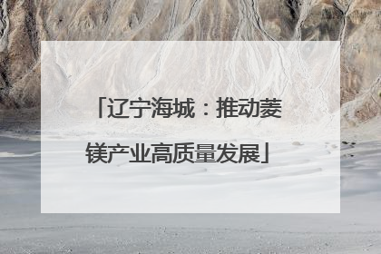 辽宁海城：推动菱镁产业高质量发展