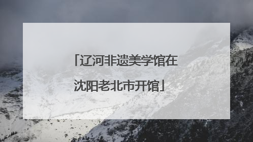 辽河非遗美学馆在沈阳老北市开馆