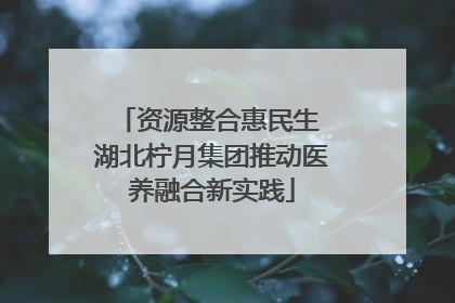 资源整合惠民生 湖北柠月集团推动医养融合新实践