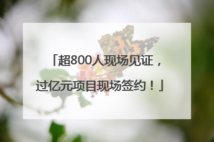超800人现场见证，过亿元项目现场签约！