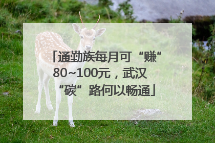 通勤族每月可“赚”80~100元，武汉“碳”路何以畅通