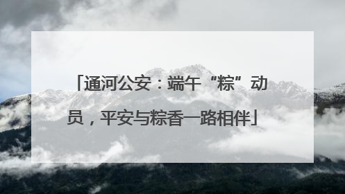 通河公安：端午“粽”动员，平安与粽香一路相伴