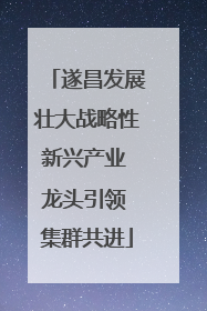 遂昌发展壮大战略性新兴产业 龙头引领 集群共进