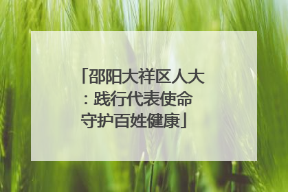 邵阳大祥区人大：践行代表使命 守护百姓健康