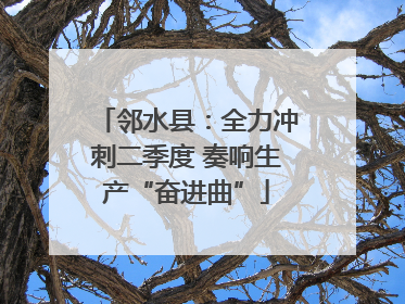 邻水县：全力冲刺二季度 奏响生产“奋进曲”
