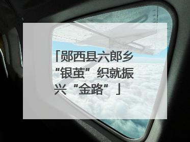 郧西县六郎乡“银茧”织就振兴“金路”