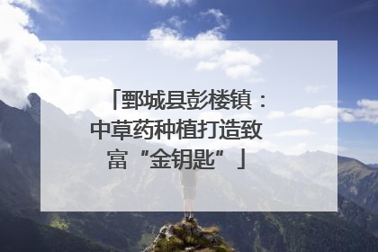 鄄城县彭楼镇：中草药种植打造致富“金钥匙”
