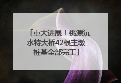 重大进展！桃源沅水特大桥42根主墩桩基全部完工